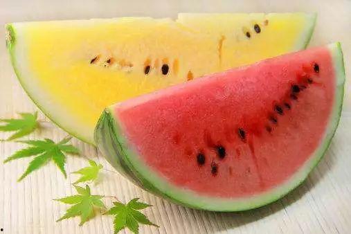 吃瓜群众网不红,网络红人的幕后故事 第2张 吃瓜群众网不红,网络红人的幕后故事 第2张